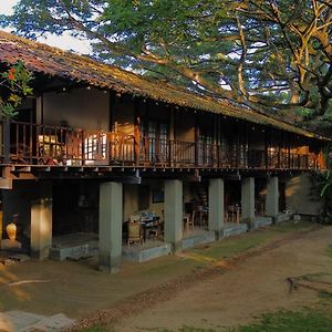 Dunes Unawatuna Hotel